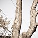 Billy Hipp Photo 4
