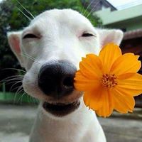 Arlene Gower Photo 3