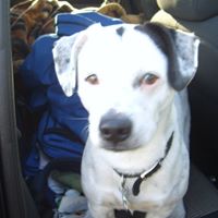 Mike Tindall Photo 23