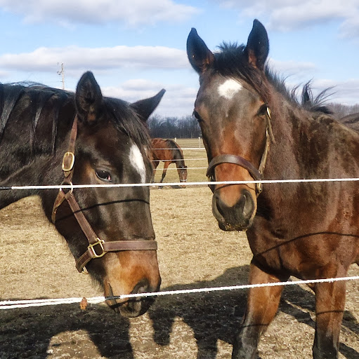 Tiffany Walsh Photo 14