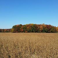 Daniel Wells Photo 23 Daniel Wells Photo 23