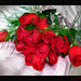 Melissa Rose Photo 36