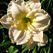 Frances Watkins Photo 15