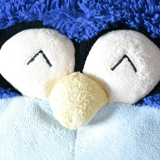 Gary Fields Photo 12