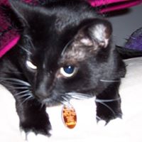 Martha Farris Photo 10
