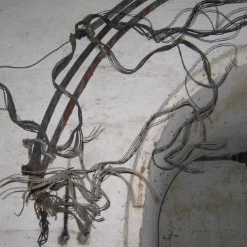 Nancy Hom Photo 34 Nancy Hom Photo 34