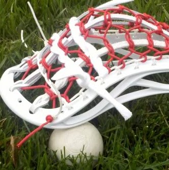 Robert Beekman Photo 29 Robert Beekman Photo 29