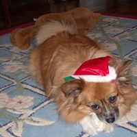 Jan Shaffer Photo 21 Jan Shaffer Photo 21