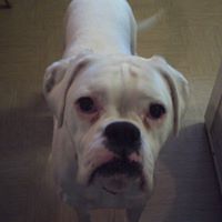 Judith Trotter Photo 4