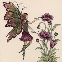 Ann Thornton Photo 12