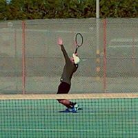 William Lang Photo 65 William Lang Photo 65