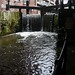 David Haley Photo 24