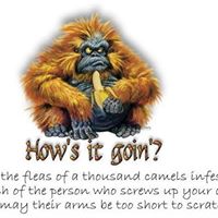 Elaine Sanders Photo 20