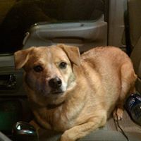 Chris Hauser Photo 41