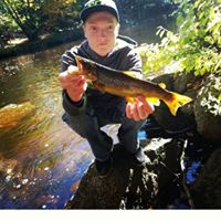 Stephen Parrott Photo 13