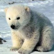 Sally Field Photo 19 Sally Field Photo 19