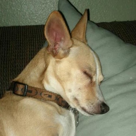 Cindy Gordon Photo 25