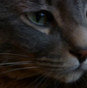 Marla Campbell Photo 16