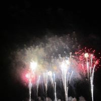 Tracey Bradley Photo 15