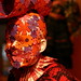 Caroline Fuchs Photo 24