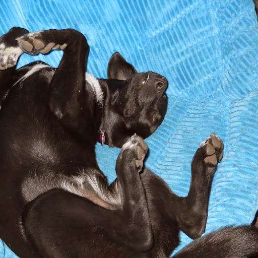 Ron Sanders Photo 21