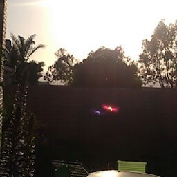 Joshua Henderson Photo 16