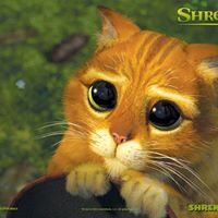 Sally Merritt Photo 20