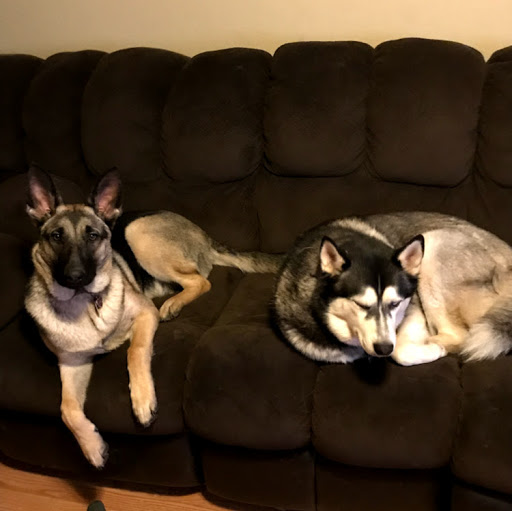 Sarah Garland Photo 14