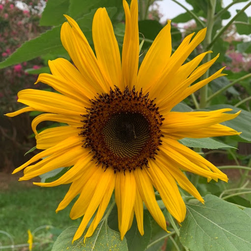 Jessica Fulkerson Photo 3