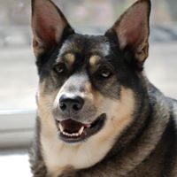 Geoffrey Pope Photo 22 Geoffrey Pope Photo 22