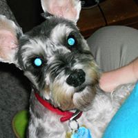 Cindy Welsh Photo 26