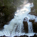 Karen Kinsman Photo 24