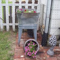 Nancy Dilley Photo 8