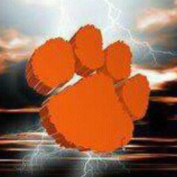 Jason Lawton Photo 14