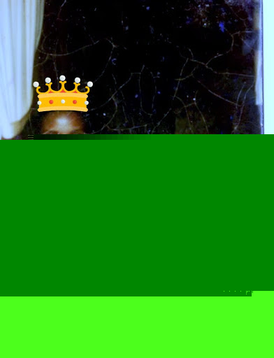 Joyce Palmer Photo 15