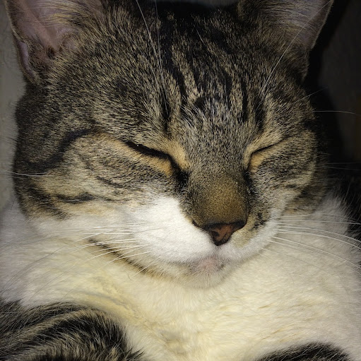 Samantha Stoddard Photo 14