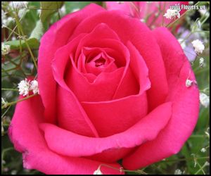 Anita Hunter Photo 23