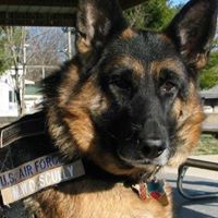 Gene Jenkins Photo 19