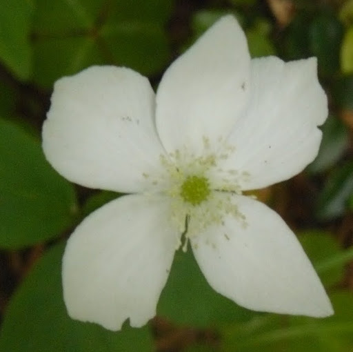 Laura Albright Photo 42 Laura Albright Photo 42