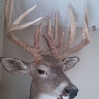 Steven Combs Photo 39