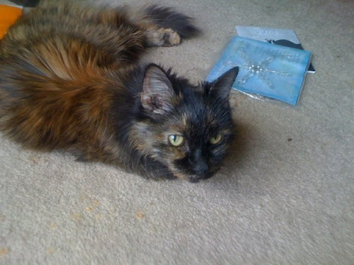 Cheryl Matheson Photo 12