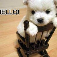 Wendy Cheng Photo 29