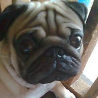 Barbara Phillips Photo 34