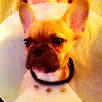 Christopher Mendenhall Photo 3