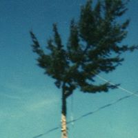 Larry Downing Photo 31