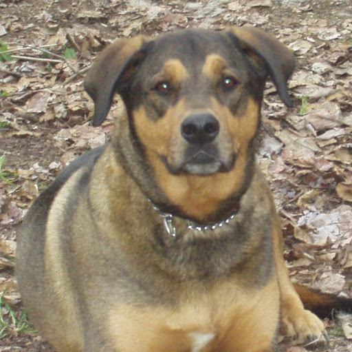 Joseph Daugherty Photo 22