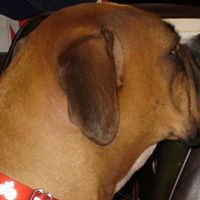 Willis Robinson Photo 10