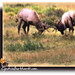 Cynthia Estes Photo 38