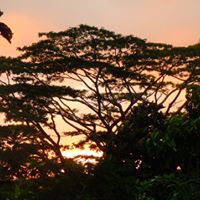 Stephanie Broad Photo 19