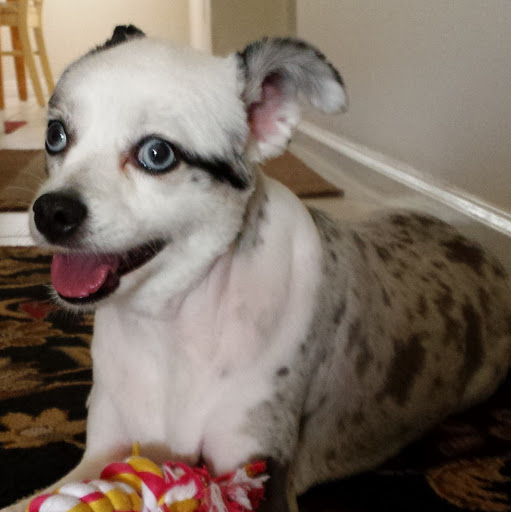 Robin Coker Photo 12